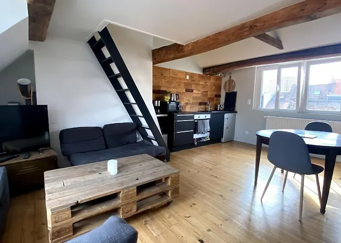 Beau T2 Caractere Vieux ! Matheo * Lille