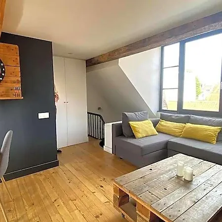 Apartment Beau T2 Caractere Vieux ! Matheo Lille